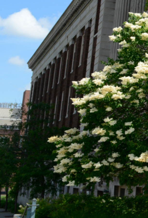 cropped image of Morrill Hall